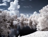 Staw, park, fotomanipulacja